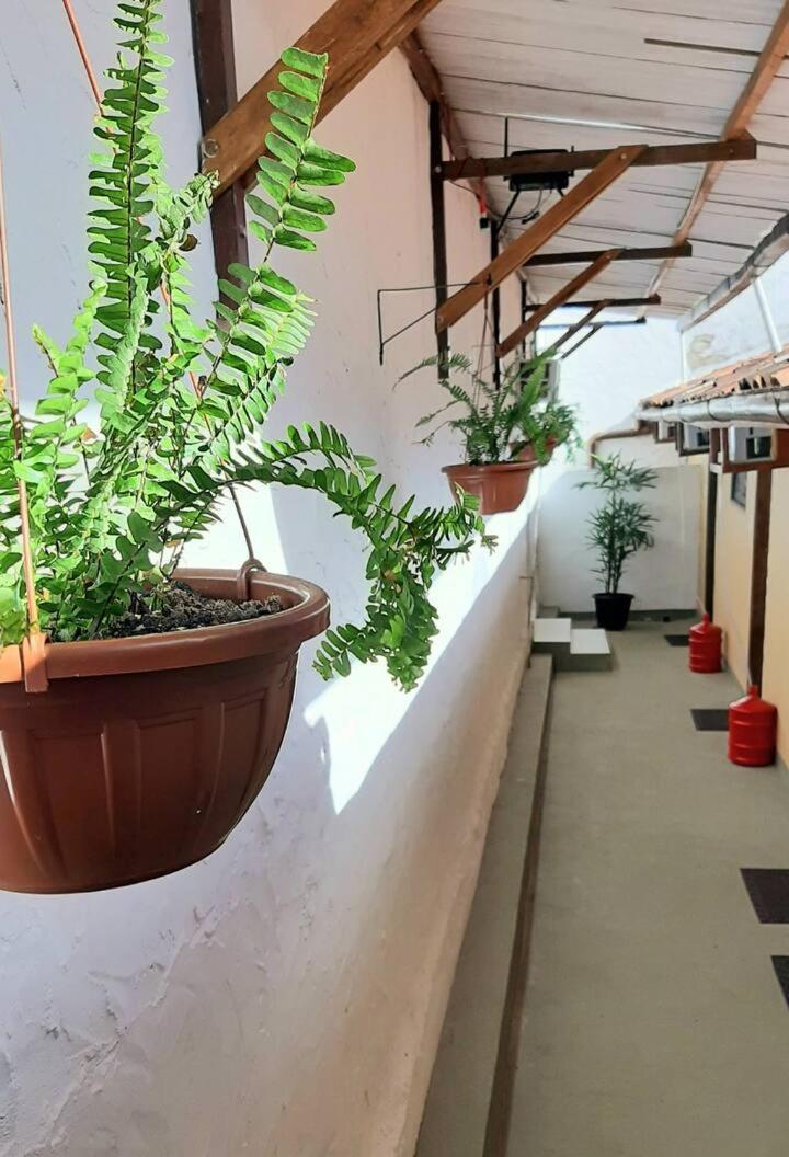 Flats Vasconcelos Itacaré Εξωτερικό φωτογραφία